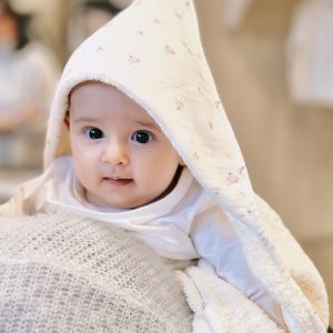 Triangolo in Spugna Bio