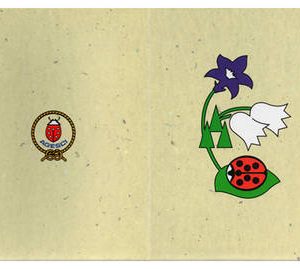 Quaderno di caccia coccinella