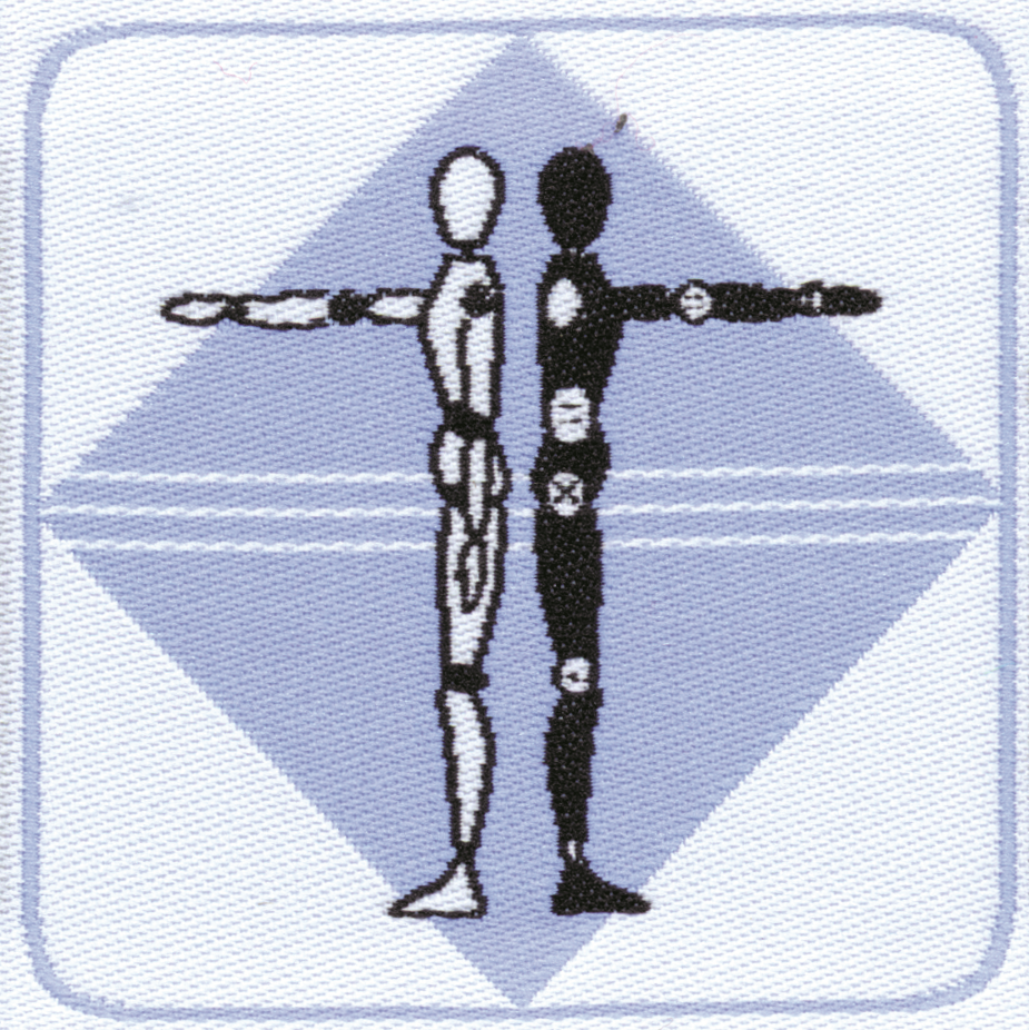 Distintivo brevetto di competenza EG Animazione sportiva - immagine 2