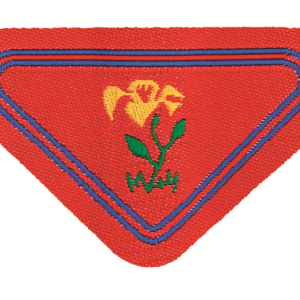 Specialità L/C Amico della natura