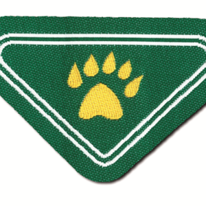 Specialità L/C Cercatore di tracce