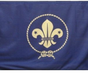 Bandiera WOSM 100X150