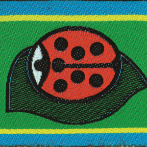 Distintivo progressione personale cerchio Coccinella del prato