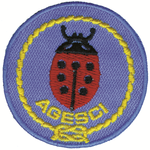 Distintivo promessa coccinella ricamata