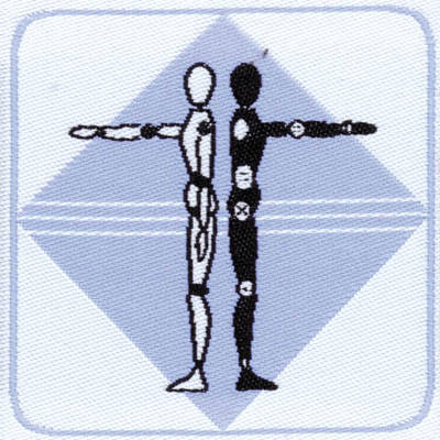 Distintivo brevetto di competenza EG Animazione sportiva - immagine 3